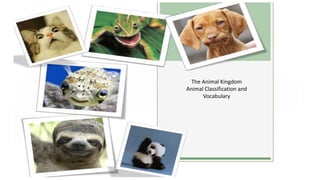 The Animal Kingdom
Animal Classification and
Vocabulary
 
