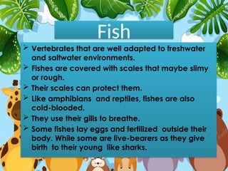 Science Vertebrates Fish scienceelementaryAnimal kingdom science.pptx