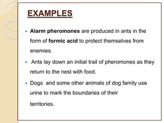 EXAMPLES
 Alarm pheromones are produced in ants in the
form of formic acid to protect themselves from
enemies.
 Ants lay down an initial trail of pheromones as they
return to the nest with food.
 Dogs and some other animals of dog family use
urine to mark the boundaries of their
territories.
 