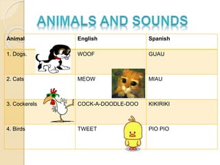 Animal English Spanish
1. Dogs. WOOF GUAU
2. Cats MEOW MIAU
3. Cockerels COCK-A-DOODLE-DOO KIKIRIKI
4. Birds TWEET PIO PIO
 