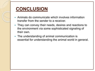 CONCLUSION
 Animals do communicate which involves information
transfer from the sender to a receiver.
 They can convey their needs, desires and reactions to
the environment via some sophisticated signaling of
their own.
 The understanding of animal communication is
essential for understanding the animal world in general.
 