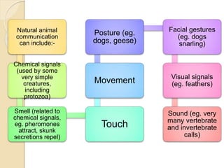 Natural animal
communication
can include:-
Chemical signals
(used by some
very simple
creatures,
including
protozoa)
Smell (related to
chemical signals,
eg. pheromones
attract, skunk
secretions repel)
Touch
Movement
Posture (eg.
dogs, geese)
Facial gestures
(eg. dogs
snarling)
Visual signals
(eg. feathers)
Sound (eg. very
many vertebrate
and invertebrate
calls)
 