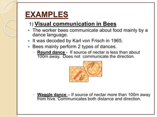 EXAMPLES
1) Visual communication in Bees
 The worker bees communicate about food mainly by a
dance language.
 It was decoded by Karl von Frisch in 1965.
 Bees mainly perform 2 types of dances.
◦ Round dance - If source of nectar is less than about
100m away. Does not communicate the direction.
◦ Waggle dance – If source of nectar more than 100m away
from hive. Communicates both distance and direction.
 