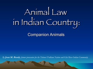 Animal Law  in Indian Country: Companion Animals By  Joan M. Bundy , former prosecutor for the Tohono O’odham Nation and Gila River Indian Community 