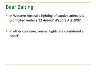 Bear Baiting In Western Australia fighting of captive animals is prohibited under s.32  Animal Welfare Act 2002 In other countries, animal fights are considered a ‘sport’ 