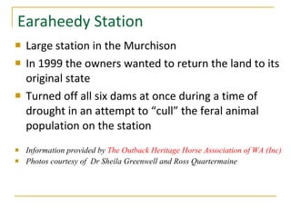 Earaheedy Station  Large station in the Murchison In 1999 the owners wanted to return the land to its original state  Turned off all six dams at once during a time of drought in an attempt to “cull” the feral animal population on the station Information provided by  The Outback Heritage Horse Association of WA (Inc)  Photos courtesy of  Dr Sheila Greenwell and Ross Quartermaine  
