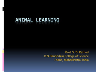 ANIMAL LEARNING




                        Prof. S. D. Rathod
         B N Bandodkar College of Science
                Thane, Maharashtra, India
 