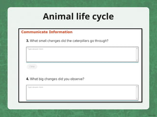Animal life cycle
 