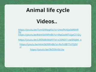 https://youtu.be/3kZD6rlSLUw
https://youtu.be/kVm5k99PnBk?si=ReTnSB77vT9j5V
-z
https://youtu.be/LWOb8k0kbXY?si=x35NO11zwSNqbK_n
https://youtu.be/kVm5k99PnBk?si=MqGzvMTUgeCI1QLj
https://youtu.be/TvmQiWpgX5c?si=UwofKASJa0dMHR
9u
Videos..
Animal life cycle
 
