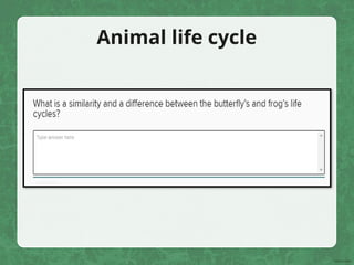 Animal life cycle
 