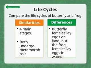 Life Cycles
Compare the life cycles of butterfly and frog.
Similarities
• 4 main
stages.
• Both
undergo
metamorph
osis.
Differences
• Butterfly
females lay
eggs on
land, but
the frog
females lay
eggs in
water.
Back to contents
 