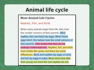 Animal life cycle
 