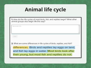 Animal life cycle
 