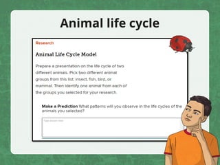 Animal life cycle
 