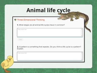 Animal life cycle
 