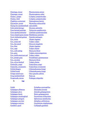 Flamingo, lesser
Flamingo, roseat
Flicker, campo
Flicker, field
Flightless cormorant
Flycatcher, tyrant
Flying fox (unidentified)
Fork-tailed drongo
Four-horned antelope
Four-spotted skimmer
Four-striped grass mouse
Fowl, helmeted guinea
Fox, arctic
Fox, asian red
Fox, bat-eared
Fox, blue
Fox, cape
Fox, crab-eating
Fox, grey
Fox, north american red
Fox, pampa gray
Fox, savanna
Fox, silver-backed
Francolin, coqui
Francolin, swainson's
Frilled dragon
Frilled lizard
Fringe-eared oryx
Frog (unidentified)
Frogmouth, tawny
G

Phoeniconaias minor
Phoenicopterus ruber
Colaptes campestroides
Colaptes campestroides
Nannopterum harrisi
Myiarchus tuberculifer
unavailable
Dicrurus adsimilis
Tetracerus quadricornis
Libellula quadrimaculata
Rhabdomys pumilio
Numida meleagris
Alopex lagopus
Vulpes vulpes
Otocyon megalotis
Alopex lagopus
Vulpes chama
Dusicyon thous
Vulpes cinereoargenteus
Vulpes vulpes
Pseudalopex gymnocercus
Dusicyon thous
Vulpes chama
Francolinus coqui
Francolinus swainsonii
Chlamydosaurus kingii
Chlamydosaurus kingii
Oryx gazella callotis
Rana sp.
Podargus strigoides

top

Galah
Galapagos albatross
Galapagos dove
Galapagos hawk
Galapagos mockingbird
Galapagos penguin
Galapagos sea lion
Galapagos tortoise
Gambel's quail

Eolophus roseicapillus
Diomedea irrorata
Zenaida galapagoensis
Buteo galapagoensis
Nesomimus trifasciatus
Spheniscus mendiculus
Zalophus californicus
Geochelone elephantopus
Callipepla gambelii

 