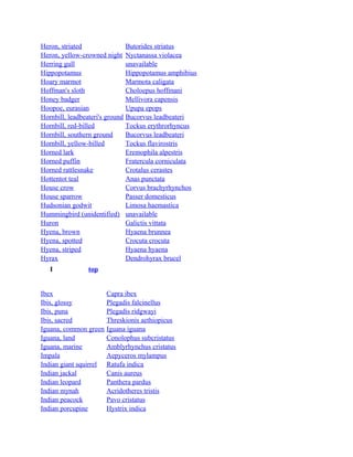 Heron, striated
Heron, yellow-crowned night
Herring gull
Hippopotamus
Hoary marmot
Hoffman's sloth
Honey badger
Hoopoe, eurasian
Hornbill, leadbeateri's ground
Hornbill, red-billed
Hornbill, southern ground
Hornbill, yellow-billed
Horned lark
Horned puffin
Horned rattlesnake
Hottentot teal
House crow
House sparrow
Hudsonian godwit
Hummingbird (unidentified)
Huron
Hyena, brown
Hyena, spotted
Hyena, striped
Hyrax
I

Butorides striatus
Nyctanassa violacea
unavailable
Hippopotamus amphibius
Marmota caligata
Choloepus hoffmani
Mellivora capensis
Upupa epops
Bucorvus leadbeateri
Tockus erythrorhyncus
Bucorvus leadbeateri
Tockus flavirostris
Eremophila alpestris
Fratercula corniculata
Crotalus cerastes
Anas punctata
Corvus brachyrhynchos
Passer domesticus
Limosa haemastica
unavailable
Galictis vittata
Hyaena brunnea
Crocuta crocuta
Hyaena hyaena
Dendrohyrax brucel

top

Ibex
Ibis, glossy
Ibis, puna
Ibis, sacred
Iguana, common green
Iguana, land
Iguana, marine
Impala
Indian giant squirrel
Indian jackal
Indian leopard
Indian mynah
Indian peacock
Indian porcupine

Capra ibex
Plegadis falcinellus
Plegadis ridgwayi
Threskionis aethiopicus
Iguana iguana
Conolophus subcristatus
Amblyrhynchus cristatus
Aepyceros mylampus
Ratufa indica
Canis aureus
Panthera pardus
Acridotheres tristis
Pavo cristatus
Hystrix indica

 
