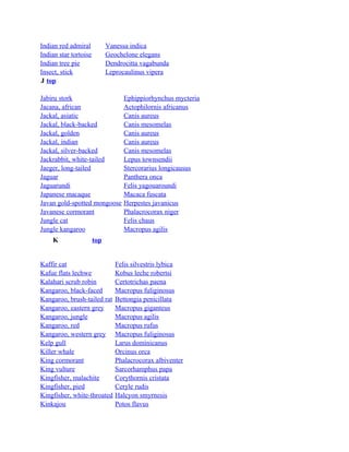 Indian red admiral
Indian star tortoise
Indian tree pie
Insect, stick
J top

Vanessa indica
Geochelone elegans
Dendrocitta vagabunda
Leprocaulinus vipera

Jabiru stork
Jacana, african
Jackal, asiatic
Jackal, black-backed
Jackal, golden
Jackal, indian
Jackal, silver-backed
Jackrabbit, white-tailed
Jaeger, long-tailed
Jaguar
Jaguarundi
Japanese macaque
Javan gold-spotted mongoose
Javanese cormorant
Jungle cat
Jungle kangaroo
K

Ephippiorhynchus mycteria
Actophilornis africanus
Canis aureus
Canis mesomelas
Canis aureus
Canis aureus
Canis mesomelas
Lepus townsendii
Stercorarius longicausus
Panthera onca
Felis yagouaroundi
Macaca fuscata
Herpestes javanicus
Phalacrocorax niger
Felis chaus
Macropus agilis

top

Kaffir cat
Kafue flats lechwe
Kalahari scrub robin
Kangaroo, black-faced
Kangaroo, brush-tailed rat
Kangaroo, eastern grey
Kangaroo, jungle
Kangaroo, red
Kangaroo, western grey
Kelp gull
Killer whale
King cormorant
King vulture
Kingfisher, malachite
Kingfisher, pied
Kingfisher, white-throated
Kinkajou

Felis silvestris lybica
Kobus leche robertsi
Certotrichas paena
Macropus fuliginosus
Bettongia penicillata
Macropus giganteus
Macropus agilis
Macropus rufus
Macropus fuliginosus
Larus dominicanus
Orcinus orca
Phalacrocorax albiventer
Sarcorhamphus papa
Corythornis cristata
Ceryle rudis
Halcyon smyrnesis
Potos flavus

 