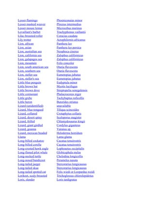 Lesser flamingo
Lesser masked weaver
Lesser mouse lemur
Levaillant's barbet
Lilac-breasted roller
Lily trotter
Lion, african
Lion, asian
Lion, australian sea
Lion, california sea
Lion, galapagos sea
Lion, mountain
Lion, south american sea
Lion, southern sea
Lion, steller sea
Lion, steller's sea
Little blue penguin
Little brown bat
Little brown dove
Little cormorant
Little grebe
Little heron
Lizard (unidentified)
Lizard, blue-tongued
Lizard, collared
Lizard, desert spiny
Lizard, frilled
Lizard, giant girdled
Lizard, goanna
Lizard, mexican beaded
Llama
Long-billed cockatoo
Long-billed corella
Long-crested hawk eagle
Long-finned pilot whale
Long-necked turtle
Long-nosed bandicoot
Long-tailed jaeger
Long-tailed skua
Long-tailed spotted cat
Lorikeet, scaly-breasted
Loris, slender

Phoeniconaias minor
Ploceus intermedius
Microcebus murinus
Trachyphonus vaillantii
Coracias caudata
Actophilornis africanus
Panthera leo
Panthera leo persica
Neophoca cinerea
Zalophus californicus
Zalophus californicus
Felis concolor
Otaria flavescens
Otaria flavescens
Eumetopias jubatus
Eumetopias jubatus
Eudyptula minor
Myotis lucifugus
Streptopelia senegalensis
Phalacrocorax niger
Tachybaptus ruficollis
Butorides striatus
unavailable
Tiliqua scincoides
Crotaphytus collaris
Sceloporus magister
Chlamydosaurus kingii
Cordylus giganteus
Varanus sp.
Heloderma horridum
Lama glama
Cacatua tenuirostris
Cacatua tenuirostris
Lophoaetus occipitalis
Globicephala melas
Chelodina longicollis
Perameles nasuta
Stercorarius longicausus
Stercorarius longicausus
Felis wiedi or Leopardus weidi
Trichoglossus chlorolepidotus
Loris tardigratus

 