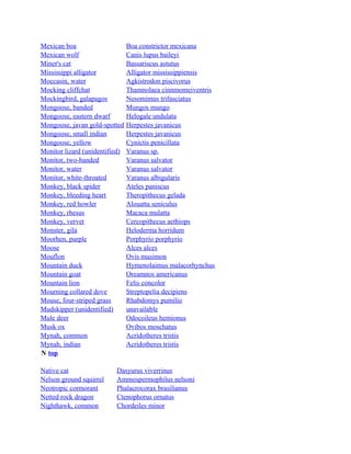 Mexican boa
Mexican wolf
Miner's cat
Mississippi alligator
Moccasin, water
Mocking cliffchat
Mockingbird, galapagos
Mongoose, banded
Mongoose, eastern dwarf
Mongoose, javan gold-spotted
Mongoose, small indian
Mongoose, yellow
Monitor lizard (unidentified)
Monitor, two-banded
Monitor, water
Monitor, white-throated
Monkey, black spider
Monkey, bleeding heart
Monkey, red howler
Monkey, rhesus
Monkey, vervet
Monster, gila
Moorhen, purple
Moose
Mouflon
Mountain duck
Mountain goat
Mountain lion
Mourning collared dove
Mouse, four-striped grass
Mudskipper (unidentified)
Mule deer
Musk ox
Mynah, common
Mynah, indian
N top
Native cat
Nelson ground squirrel
Neotropic cormorant
Netted rock dragon
Nighthawk, common

Boa constrictor mexicana
Canis lupus baileyi
Bassariscus astutus
Alligator mississippiensis
Agkistrodon piscivorus
Thamnolaea cinnmomeiventris
Nesomimus trifasciatus
Mungos mungo
Helogale undulata
Herpestes javanicus
Herpestes javanicus
Cynictis penicillata
Varanus sp.
Varanus salvator
Varanus salvator
Varanus albigularis
Ateles paniscus
Theropithecus gelada
Alouatta seniculus
Macaca mulatta
Cercopithecus aethiops
Heloderma horridum
Porphyrio porphyrio
Alces alces
Ovis musimon
Hymenolaimus malacorhynchus
Oreamnos americanus
Felis concolor
Streptopelia decipiens
Rhabdomys pumilio
unavailable
Odocoileus hemionus
Ovibos moschatus
Acridotheres tristis
Acridotheres tristis

Dasyurus viverrinus
Ammospermophilus nelsoni
Phalacrocorax brasilianus
Ctenophorus ornatus
Chordeiles minor

 