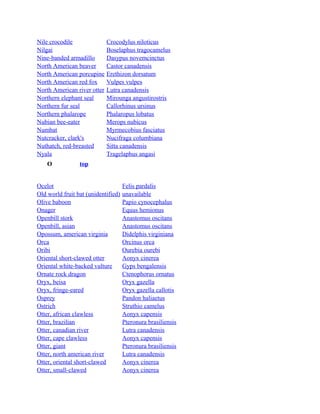 Nile crocodile
Nilgai
Nine-banded armadillo
North American beaver
North American porcupine
North American red fox
North American river otter
Northern elephant seal
Northern fur seal
Northern phalarope
Nubian bee-eater
Numbat
Nutcracker, clark's
Nuthatch, red-breasted
Nyala
O

Crocodylus niloticus
Boselaphus tragocamelus
Dasypus novemcinctus
Castor canadensis
Erethizon dorsatum
Vulpes vulpes
Lutra canadensis
Mirounga angustirostris
Callorhinus ursinus
Phalaropus lobatus
Merops nubicus
Myrmecobius fasciatus
Nucifraga columbiana
Sitta canadensis
Tragelaphus angasi

top

Ocelot
Old world fruit bat (unidentified)
Olive baboon
Onager
Openbill stork
Openbill, asian
Opossum, american virginia
Orca
Oribi
Oriental short-clawed otter
Oriental white-backed vulture
Ornate rock dragon
Oryx, beisa
Oryx, fringe-eared
Osprey
Ostrich
Otter, african clawless
Otter, brazilian
Otter, canadian river
Otter, cape clawless
Otter, giant
Otter, north american river
Otter, oriental short-clawed
Otter, small-clawed

Felis pardalis
unavailable
Papio cynocephalus
Equus hemionus
Anastomus oscitans
Anastomus oscitans
Didelphis virginiana
Orcinus orca
Ourebia ourebi
Aonyx cinerea
Gyps bengalensis
Ctenophorus ornatus
Oryx gazella
Oryx gazella callotis
Pandon haliaetus
Struthio camelus
Aonyx capensis
Pteronura brasiliensis
Lutra canadensis
Aonyx capensis
Pteronura brasiliensis
Lutra canadensis
Aonyx cinerea
Aonyx cinerea

 