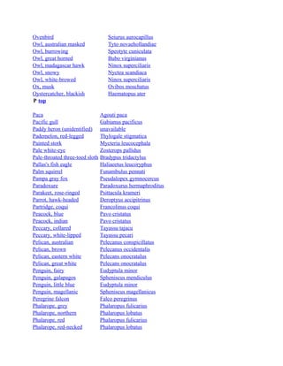 Ovenbird
Owl, australian masked
Owl, burrowing
Owl, great horned
Owl, madagascar hawk
Owl, snowy
Owl, white-browed
Ox, musk
Oystercatcher, blackish
P top
Paca
Pacific gull
Paddy heron (unidentified)
Pademelon, red-legged
Painted stork
Pale white-eye
Pale-throated three-toed sloth
Pallas's fish eagle
Palm squirrel
Pampa gray fox
Paradoxure
Parakeet, rose-ringed
Parrot, hawk-headed
Partridge, coqui
Peacock, blue
Peacock, indian
Peccary, collared
Peccary, white-lipped
Pelican, australian
Pelican, brown
Pelican, eastern white
Pelican, great white
Penguin, fairy
Penguin, galapagos
Penguin, little blue
Penguin, magellanic
Peregrine falcon
Phalarope, grey
Phalarope, northern
Phalarope, red
Phalarope, red-necked

Seiurus aurocapillus
Tyto novaehollandiae
Speotyte cuniculata
Bubo virginianus
Ninox superciliaris
Nyctea scandiaca
Ninox superciliaris
Ovibos moschatus
Haematopus ater

Agouti paca
Gabianus pacificus
unavailable
Thylogale stigmatica
Mycteria leucocephala
Zosterops pallidus
Bradypus tridactylus
Haliaeetus leucoryphus
Funambulus pennati
Pseudalopex gymnocercus
Paradoxurus hermaphroditus
Psittacula krameri
Deroptyus accipitrinus
Francolinus coqui
Pavo cristatus
Pavo cristatus
Tayassu tajacu
Tayassu pecari
Pelecanus conspicillatus
Pelecanus occidentalis
Pelecans onocratalus
Pelecans onocratalus
Eudyptula minor
Spheniscus mendiculus
Eudyptula minor
Spheniscus magellanicus
Falco peregrinus
Phalaropus fulicarius
Phalaropus lobatus
Phalaropus fulicarius
Phalaropus lobatus

 