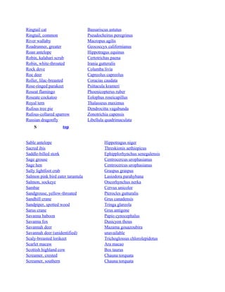 Ringtail cat
Ringtail, common
River wallaby
Roadrunner, greater
Roan antelope
Robin, kalahari scrub
Robin, white-throated
Rock dove
Roe deer
Roller, lilac-breasted
Rose-ringed parakeet
Roseat flamingo
Roseate cockatoo
Royal tern
Rufous tree pie
Rufous-collared sparrow
Russian dragonfly
S

Bassariscus astutus
Pseudocheirus peregrinus
Macropus agilis
Geococcyx californianus
Hippotragus equinus
Certotrichas paena
Irania gutteralis
Columba livia
Capreolus capreolus
Coracias caudata
Psittacula krameri
Phoenicopterus ruber
Eolophus roseicapillus
Thalasseus maximus
Dendrocitta vagabunda
Zonotrichia capensis
Libellula quadrimaculata

top

Sable antelope
Sacred ibis
Saddle-billed stork
Sage grouse
Sage hen
Sally lightfoot crab
Salmon pink bird eater tarantula
Salmon, sockeye
Sambar
Sandgrouse, yellow-throated
Sandhill crane
Sandpiper, spotted wood
Sarus crane
Savanna baboon
Savanna fox
Savannah deer
Savannah deer (unidentified)
Scaly-breasted lorikeet
Scarlet macaw
Scottish highland cow
Screamer, crested
Screamer, southern

Hippotragus niger
Threskionis aethiopicus
Ephipplorhynchus senegalensis
Centrocercus urophasianus
Centrocercus urophasianus
Graspus graspus
Lasiodora parahybana
Oncorhynchus nerka
Cervus unicolor
Pterocles gutturalis
Grus canadensis
Tringa glareola
Grus antigone
Papio cynocephalus
Dusicyon thous
Mazama gouazoubira
unavailable
Trichoglossus chlorolepidotus
Ara macao
Bos taurus
Chauna torquata
Chauna torquata

 