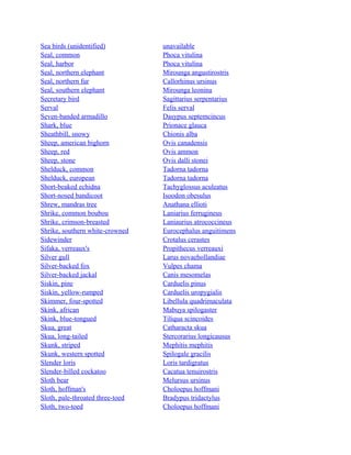 Sea birds (unidentified)
Seal, common
Seal, harbor
Seal, northern elephant
Seal, northern fur
Seal, southern elephant
Secretary bird
Serval
Seven-banded armadillo
Shark, blue
Sheathbill, snowy
Sheep, american bighorn
Sheep, red
Sheep, stone
Shelduck, common
Shelduck, european
Short-beaked echidna
Short-nosed bandicoot
Shrew, mandras tree
Shrike, common boubou
Shrike, crimson-breasted
Shrike, southern white-crowned
Sidewinder
Sifaka, verreaux's
Silver gull
Silver-backed fox
Silver-backed jackal
Siskin, pine
Siskin, yellow-rumped
Skimmer, four-spotted
Skink, african
Skink, blue-tongued
Skua, great
Skua, long-tailed
Skunk, striped
Skunk, western spotted
Slender loris
Slender-billed cockatoo
Sloth bear
Sloth, hoffman's
Sloth, pale-throated three-toed
Sloth, two-toed

unavailable
Phoca vitulina
Phoca vitulina
Mirounga angustirostris
Callorhinus ursinus
Mirounga leonina
Sagittarius serpentarius
Felis serval
Dasypus septemcincus
Prionace glauca
Chionis alba
Ovis canadensis
Ovis ammon
Ovis dalli stonei
Tadorna tadorna
Tadorna tadorna
Tachyglossus aculeatus
Isoodon obesulus
Anathana ellioti
Laniarius ferrugineus
Laniaurius atrococcineus
Eurocephalus anguitimens
Crotalus cerastes
Propithecus verreauxi
Larus novaehollandiae
Vulpes chama
Canis mesomelas
Carduelis pinus
Carduelis uropygialis
Libellula quadrimaculata
Mabuya spilogaster
Tiliqua scincoides
Catharacta skua
Stercorarius longicausus
Mephitis mephitis
Spilogale gracilis
Loris tardigratus
Cacatua tenuirostris
Melursus ursinus
Choloepus hoffmani
Bradypus tridactylus
Choloepus hoffmani

 