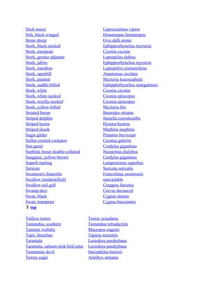 Stick insect
Stilt, black-winged
Stone sheep
Stork, black-necked
Stork, european
Stork, greater adjutant
Stork, jabiru
Stork, marabou
Stork, openbill
Stork, painted
Stork, saddle-billed
Stork, white
Stork, white-necked
Stork, woolly-necked
Stork, yellow-billed
Striated heron
Striped dolphin
Striped hyena
Striped skunk
Sugar glider
Sulfur-crested cockatoo
Sun gazer
Sunbird, lesser double-collared
Sungazer, yellow-brown
Superb starling
Suricate
Swainson's francolin
Swallow (unidentified)
Swallow-tail gull
Swamp deer
Swan, black
Swan, trumpeter
T top
Tailless tenrec
Tamandua, southern
Tammar wallaby
Tapir, brazilian
Tarantula
Tarantula, salmon pink bird eater
Tasmanian devil
Tawny eagle

Leprocaulinus vipera
Himantopus himantopus
Ovis dalli stonei
Ephippiorhynchus mycteria
Ciconia ciconia
Leptoptilus dubius
Ephippiorhynchus mycteria
Leptoptilos crumeniferus
Anastomus oscitans
Mycteria leucocephala
Ephipplorhynchus senegalensis
Ciconia ciconia
Ciconia episcopus
Ciconia episcopus
Mycteria ibis
Butorides striatus
Stenella coeruleoalba
Hyaena hyaena
Mephitis mephitis
Petaurus breviceps
Cacatua galerita
Cordylus giganteus
Nectarinia chalybea
Cordylus giganteus
Lamprotornis superbus
Suricata suricatta
Francolinus swainsonii
unavailable
Creagrus furcatus
Cervus duvauceli
Cygnus atratus
Cygnus buccinator

Tenrec ecaudatus
Tamandua tetradactyla
Macropus eugenii
Tapirus terrestris
Lasiodora parahybana
Lasiodora parahybana
Sarcophilus harrisii
Anitibyx armatus

 