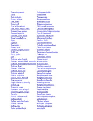 Tawny frogmouth
Tayra
Teal, hottentot
Tenrec, tailless
Tern, arctic
Tern, royal
Tern, white-winged
Tern, white-winged black
Thirteen-lined squirrel
Thomson's gazelle
Thrasher, curve-billed
Three-banded plover
Tiger
Tiger cat
Tiger snake
Timber wolf
Tinamou, elegant crested
Toddy cat
Tokay gecko
Topi
Tortoise, asian foreset
Tortoise, burmese black mountain
Tortoise, burmese brown mountain
Tortoise, desert
Tortoise, galapagos
Tortoise, indian star
Tortoise, radiated
Toucan, red-billed
Toucan, white-throated
Tree porcupine
Tropical buckeye butterfly
Trotter, lily
Trumpeter swan
Trumpeter, dark-winged
Trumpeter, green-winged
Tsessebe
Turaco, violet-crested
Turkey vulture
Turkey, australian brush
Turkey, common
Turkey, wild
Turtle (unidentified)

Podargus strigoides
Eira barbata
Anas punctata
Tenrec ecaudatus
Sterna paradisaea
Thalasseus maximus
Chlidonias leucopterus
Chlidonias leucopterus
Spermophilus tridecemlineatus
Gazella thompsonii
Toxostoma curvirostre
Charadrius tricollaris
Panthera tigris
Dasyurus maculatus
Notechis semmiannulatus
Canis lupus lycaon
Eudromia elegans
Paradoxurus hermaphroditus
Gekko gecko
Damaliscus lunatus
Manouria emys
Manouria emys
Manouria emys
Gopherus agassizii
Geochelone elephantopus
Geochelone elegans
Geochelone radiata
Ramphastos tucanus
Ramphastos tucanus
Coendou prehensilis
Junonia genoveua
Actophilornis africanus
Cygnus buccinator
Psophia viridis
Psophia viridis
Damaliscus lunatus
Tauraco porphyrelophus
Cathartes aura
Alectura lathami
Meleagris gallopavo
Meleagris gallopavo
unavailable

 