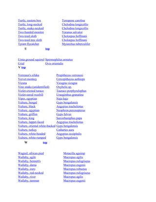 Turtle, eastern box
Turtle, long-necked
Turtle, snake-necked
Two-banded monitor
Two-toed sloth
Two-toed tree sloth
Tyrant flycatcher
U

Terrapene carolina
Chelodina longicollis
Chelodina longicollis
Varanus salvator
Choloepus hoffmani
Choloepus hoffmani
Myiarchus tuberculifer
top

Uinta ground squirrel Spermophilus armatus
Urial
Ovis orientalis
V top
Verreaux's sifaka
Vervet monkey
Vicuna
Vine snake (unidentified)
Violet-crested turaco
Violet-eared waxbill
Viper, egyptian
Vulture, bengal
Vulture, black
Vulture, egyptian
Vulture, griffon
Vulture, king
Vulture, lappet-faced
Vulture, oriental white-backed
Vulture, turkey
Vulture, white-headed
Vulture, white-rumped
W

Propithecus verreauxi
Cercopithecus aethiops
Vicugna vicugna
Oxybelis sp.
Tauraco porphyrelophus
Uraeginthus granatina
Naja haje
Gyps bengalensis
Aegypius tracheliotus
Neophron percnopterus
Gyps fulvus
Sarcorhamphus papa
Aegypius tracheliotus
Gyps bengalensis
Cathartes aura
Aegypius occipitalis
Gyps bengalensis

top

Wagtail, african pied
Wallaby, agile
Wallaby, bennett's
Wallaby, dama
Wallaby, euro
Wallaby, red-necked
Wallaby, river
Wallaby, tammar

Motacilla aguimp
Macropus agilis
Macropus rufogriseus
Macropus eugenii
Macropus robustus
Macropus rufogriseus
Macropus agilis
Macropus eugenii

 
