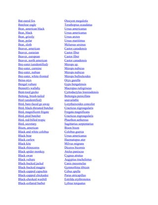 Bat-eared fox
Bateleur eagle
Bear, american black
Bear, black
Bear, grizzly
Bear, polar
Bear, sloth
Beaver, american
Beaver, eurasian
Beaver, european
Beaver, north american
Bee-eater (unidentified)
Bee-eater, carmine
Bee-eater, nubian
Bee-eater, white-fronted
Beisa oryx
Bengal vulture
Bennett's wallaby
Bent-toed gecko
Bettong, brush-tailed
Bird (unidentified)
Bird, bare-faced go away
Bird, black-throated butcher
Bird, magnificent frigate
Bird, pied butcher
Bird, red-billed tropic
Bird, secretary
Bison, american
Black and white colobus
Black bear
Black curlew
Black kite
Black rhinoceros
Black spider monkey
Black swan
Black vulture
Black-backed jackal
Black-backed magpie
Black-capped capuchin
Black-capped chickadee
Black-cheeked waxbill
Black-collared barbet

Otocyon megalotis
Terathopius ecaudatus
Ursus americanus
Ursus americanus
Ursus arctos
Ursus maritimus
Melursus ursinus
Castor canadensis
Castor fiber
Castor fiber
Castor canadensis
Merops sp.
Merops nubicus
Merops nubicus
Merops bullockoides
Oryx gazella
Gyps bengalensis
Macropus rufogriseus
Cyrtodactylus louisiadensis
Bettongia penicillata
unavailable
Lorythaixoides concolor
Cracticus nigroagularis
Fregata magnificans
Cracticus nigroagularis
Phaethon aethereus
Sagittarius serpentarius
Bison bison
Colobus guerza
Ursus americanus
Haematopus ater
Milvus migrans
Diceros bicornis
Ateles paniscus
Cygnus atratus
Aegypius tracheliotus
Canis mesomelas
Gymnorhina tibicen
Cebus apella
Parus atricapillus
Estrilda erythronotos
Lybius torquatus

 