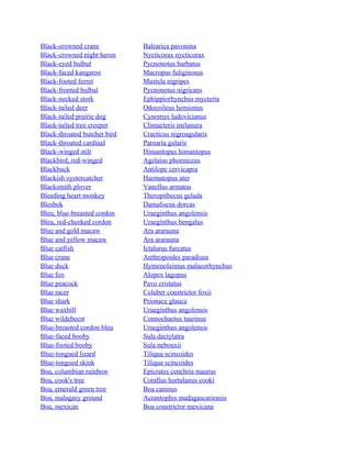 Black-crowned crane
Black-crowned night heron
Black-eyed bulbul
Black-faced kangaroo
Black-footed ferret
Black-fronted bulbul
Black-necked stork
Black-tailed deer
Black-tailed prairie dog
Black-tailed tree creeper
Black-throated butcher bird
Black-throated cardinal
Black-winged stilt
Blackbird, red-winged
Blackbuck
Blackish oystercatcher
Blacksmith plover
Bleeding heart monkey
Blesbok
Bleu, blue-breasted cordon
Bleu, red-cheeked cordon
Blue and gold macaw
Blue and yellow macaw
Blue catfish
Blue crane
Blue duck
Blue fox
Blue peacock
Blue racer
Blue shark
Blue waxbill
Blue wildebeest
Blue-breasted cordon bleu
Blue-faced booby
Blue-footed booby
Blue-tongued lizard
Blue-tongued skink
Boa, columbian rainbow
Boa, cook's tree
Boa, emerald green tree
Boa, malagasy ground
Boa, mexican

Balearica pavonina
Nycticorax nycticorax
Pycnonotus barbatus
Macropus fuliginosus
Mustela nigripes
Pycnonotus nigricans
Ephippiorhynchus mycteria
Odocoileus hemionus
Cynomys ludovicianus
Climacteris melanura
Cracticus nigroagularis
Paroaria gularis
Himantopus himantopus
Agelaius phoeniceus
Antilope cervicapra
Haematopus ater
Vanellus armatus
Theropithecus gelada
Damaliscus dorcas
Uraeginthus angolensis
Uraeginthus bengalus
Ara ararauna
Ara ararauna
Ictalurus furcatus
Anthropoides paradisea
Hymenolaimus malacorhynchus
Alopex lagopus
Pavo cristatus
Coluber constrictor foxii
Prionace glauca
Uraeginthus angolensis
Connochaetus taurinus
Uraeginthus angolensis
Sula dactylatra
Sula nebouxii
Tiliqua scincoides
Tiliqua scincoides
Epicrates cenchria maurus
Corallus hortulanus cooki
Boa caninus
Acrantophis madagascariensis
Boa constrictor mexicana

 