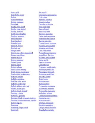 Boar, wild
Boat-billed heron
Bobcat
Bohor reedbuck
Bonnet macaque
Bontebok
Booby, blue-faced
Booby, blue-footed
Booby, masked
Bottle-nose dolphin
Boubou, southern
Brazilian otter
Brazilian tapir
Brindled gnu
Brocket, brown
Brocket, red
Brolga crane
Brown and yellow marshbird
Brown antechinus
Brown brocket
Brown capuchin
Brown hyena
Brown lemur
Brown pelican
Brush-tailed bettong
Brush-tailed phascogale
Brush-tailed rat kangaroo
Buffalo, african
Buffalo, american
Buffalo, asian water
Buffalo, wild water
Bulbul, african red-eyed
Bulbul, black-eyed
Bulbul, black-fronted
Bunting, crested
Burchell's gonolek
Burmese black mountain tortoise
Burmese brown mountain tortoise
Burrowing owl
Bush dog
Bushbaby, large-eared
Bushbuck

Sus scrofa
Cochlearius cochlearius
Felis rufus
Redunca redunca
Macaca radiata
Damaliscus dorcas
Sula dactylatra
Sula nebouxii
Sula dactylatra
Tursiops truncatus
Laniarius ferrugineus
Pteronura brasiliensis
Tapirus terrestris
Connochaetus taurinus
Mazama gouazoubira
Mazama americana
Grus rubicundus
Pseudoleistes virescens
Antechinus flavipes
Mazama gouazoubira
Cebus apella
Hyaena brunnea
Lemur fulvus
Pelecanus occidentalis
Bettongia penicillata
Phascogale tapoatafa
Bettongia penicillata
Snycerus caffer
Bison bison
Bubalus arnee
Bubalus arnee
Pycnonotus nigricans
Pycnonotus barbatus
Pycnonotus nigricans
Melophus lathami
Laniaurius atrococcineus
Manouria emys
Manouria emys
Speotyte cuniculata
Speothos vanaticus
Galago crassicaudataus
Tragelaphus scriptus

 
