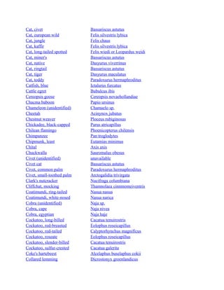 Cat, civet
Cat, european wild
Cat, jungle
Cat, kaffir
Cat, long-tailed spotted
Cat, miner's
Cat, native
Cat, ringtail
Cat, tiger
Cat, toddy
Catfish, blue
Cattle egret
Cereopsis goose
Chacma baboon
Chameleon (unidentified)
Cheetah
Chestnut weaver
Chickadee, black-capped
Chilean flamingo
Chimpanzee
Chipmunk, least
Chital
Chuckwalla
Civet (unidentified)
Civet cat
Civet, common palm
Civet, small-toothed palm
Clark's nutcracker
Cliffchat, mocking
Coatimundi, ring-tailed
Coatimundi, white-nosed
Cobra (unidentified)
Cobra, cape
Cobra, egyptian
Cockatoo, long-billed
Cockatoo, red-breasted
Cockatoo, red-tailed
Cockatoo, roseate
Cockatoo, slender-billed
Cockatoo, sulfur-crested
Coke's hartebeest
Collared lemming

Bassariscus astutus
Felis silvestris lybica
Felis chaus
Felis silvestris lybica
Felis wiedi or Leopardus weidi
Bassariscus astutus
Dasyurus viverrinus
Bassariscus astutus
Dasyurus maculatus
Paradoxurus hermaphroditus
Ictalurus furcatus
Bubulcus ibis
Cereopsis novaehollandiae
Papio ursinus
Chamaelo sp.
Acinynox jubatus
Ploceus rubiginosus
Parus atricapillus
Phoenicopterus chilensis
Pan troglodytes
Eutamias minimus
Axis axis
Sauromalus obesus
unavailable
Bassariscus astutus
Paradoxurus hermaphroditus
Arctogalidia trivirgata
Nucifraga columbiana
Thamnolaea cinnmomeiventris
Nasua nasua
Nasua narica
Naja sp.
Naja nivea
Naja haje
Cacatua tenuirostris
Eolophus roseicapillus
Calyptorhynchus magnificus
Eolophus roseicapillus
Cacatua tenuirostris
Cacatua galerita
Alcelaphus buselaphus cokii
Dicrostonyx groenlandicus

 