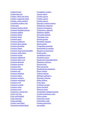 Collared lizard
Collared peccary
Colobus, black and white
Colobus, magistrate black
Colobus, white-mantled
Columbian rainbow boa
Comb duck
Common boubou shrike
Common brushtail possum
Common dolphin
Common duiker
Common eland
Common genet
Common goldeneye
Common green iguana
Common grenadier
Common langur
Common long-nosed armadillo
Common melba finch
Common mynah
Common nighthawk
Common palm civet
Common pheasant
Common raccoon
Common rhea
Common ringtail
Common seal
Common shelduck
Common turkey
Common wallaroo
Common waterbuck
Common wolf
Common wombat
Common zebra
Common zorro
Constrictor, eastern boa
Cook's tree boa
Coot, red-knobbed
Coqui francolin
Coqui partridge
Corella, long-billed
Cormorant (unidentified)

Crotaphytus collaris
Tayassu tajacu
Colobus guerza
Colobus guerza
Colobus guerza
Epicrates cenchria maurus
Sarkidornis melanotos
Laniarius ferrugineus
Trichosurus vulpecula
Delphinus delphis
Sylvicapra grimma
Taurotagus oryx
Genetta genetta
Bucephala clangula
Iguana iguana
Uraeginthus granatina
Semnopithecus entellus
Dasypus novemcinctus
Pytilia melba
Acridotheres tristis
Chordeiles minor
Paradoxurus hermaphroditus
Phasianus colchicus
Procyon lotor
Rhea americana
Pseudocheirus peregrinus
Phoca vitulina
Tadorna tadorna
Meleagris gallopavo
Macropus robustus
Kobus defassa
Canis lupus
Vombatus ursinus
Equus burchelli
Dusicyon thous
Acrantophis madagascariensis
Corallus hortulanus cooki
Fulica cristata
Francolinus coqui
Francolinus coqui
Cacatua tenuirostris
unavailable

 