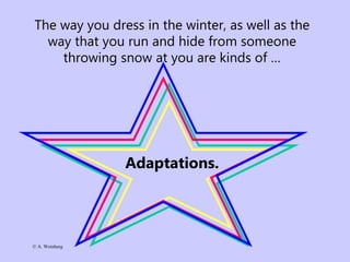 © A. Weinberg
The way you dress in the winter, as well as the
way that you run and hide from someone
throwing snow at you are kinds of …
Adaptations.
 