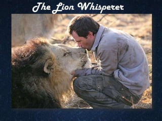 The Lion Whisperer 