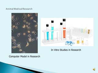 Computer Model in Research In Vitro Studies in Research 