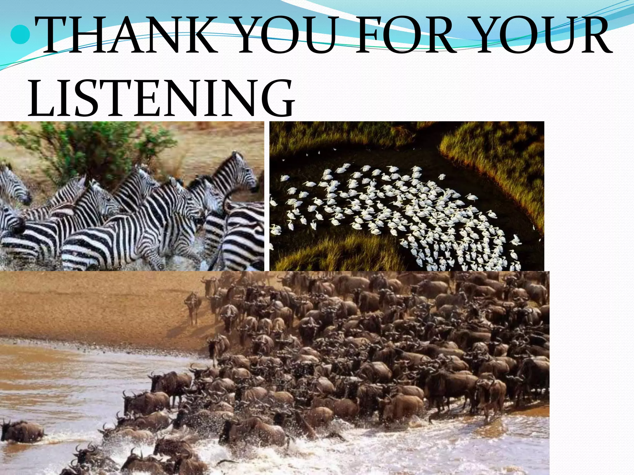 THANK YOU FOR YOUR
LISTENING
 
