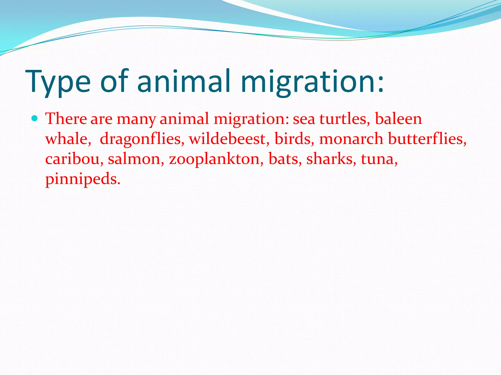 Type of animal migration:
 There are many animal migration: sea turtles, baleen
whale, dragonflies, wildebeest, birds, monarch butterflies,
caribou, salmon, zooplankton, bats, sharks, tuna,
pinnipeds.
 