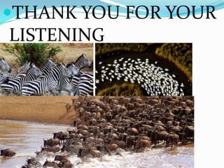 THANK YOU FOR YOUR
LISTENING
 