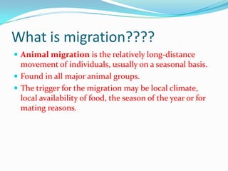 What is migration????
 Animal migration is the relatively long-distance
movement of individuals, usually on a seasonal basis.
 Found in all major animal groups.
 The trigger for the migration may be local climate,
local availability of food, the season of the year or for
mating reasons.
 