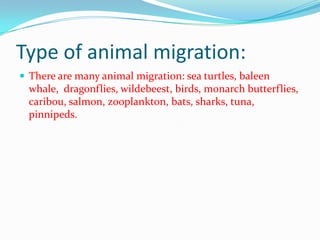 Type of animal migration:
 There are many animal migration: sea turtles, baleen
whale, dragonflies, wildebeest, birds, monarch butterflies,
caribou, salmon, zooplankton, bats, sharks, tuna,
pinnipeds.
 