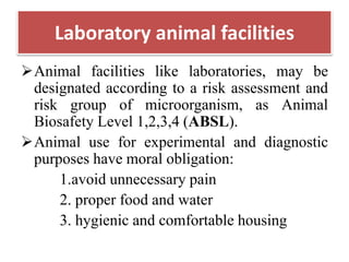 Animal model of research by zareen | PPTX