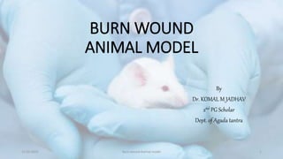 BURN WOUND
ANIMAL MODEL
By
Dr. KOMAL M JADHAV
2nd PG Scholar
Dept. of Agada tantra
11-03-2023 Burn wound Animal model 1
 