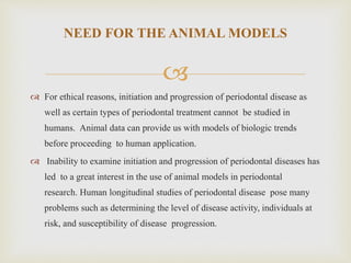 
 For ethical reasons, initiation and progression of periodontal disease as
well as certain types of periodontal treatment cannot be studied in
humans. Animal data can provide us with models of biologic trends
before proceeding to human application.
 Inability to examine initiation and progression of periodontal diseases has
led to a great interest in the use of animal models in periodontal
research. Human longitudinal studies of periodontal disease pose many
problems such as determining the level of disease activity, individuals at
risk, and susceptibility of disease progression.
NEED FOR THE ANIMAL MODELS
 