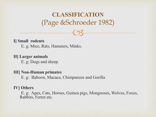 
CLASSIFICATION
(Page &Schroeder 1982)
I] Small rodents
E. g: Mice, Rats, Hamsters, Minks.
II] Larger animals
E. g: Dogs and sheep.
III] Non-Human primates
E. g: Baboon, Macaca, Chimpanzee and Gorilla
IV] Others
E. g: Apes, Cats, Horses, Guinea pigs, Mongooses, Wolves, Foxes,
Rabbits, Ferret etc.
 
