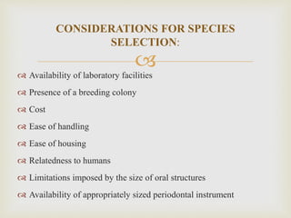 
CONSIDERATIONS FOR SPECIES
SELECTION:
 Availability of laboratory facilities
 Presence of a breeding colony
 Cost
 Ease of handling
 Ease of housing
 Relatedness to humans
 Limitations imposed by the size of oral structures
 Availability of appropriately sized periodontal instrument
 