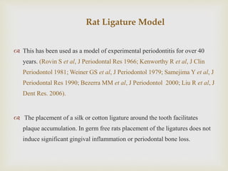 Rat Ligature Model
 This has been used as a model of experimental periodontitis for over 40
years. (Rovin S et al, J Periodontal Res 1966; Kenworthy R et al, J Clin
Periodontol 1981; Weiner GS et al, J Periodontol 1979; Samejima Y et al, J
Periodontal Res 1990; Bezerra MM et al, J Periodontol 2000; Liu R et al, J
Dent Res. 2006).
 The placement of a silk or cotton ligature around the tooth facilitates
plaque accumulation. In germ free rats placement of the ligatures does not
induce significant gingival inflammation or periodontal bone loss.
 